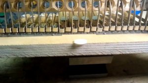 Красивые кнопки на старую гармонь. Так еще никто не делал.