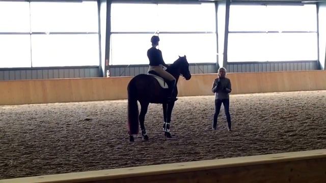 Ingrid Klimke Clinic - Prelim Flat Group