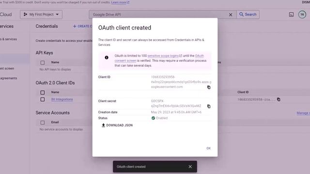 (Free) Integrating Brizy Form with Google Drive | Step-by-Step Tutorial | Bit Integrations смотреть онлайн