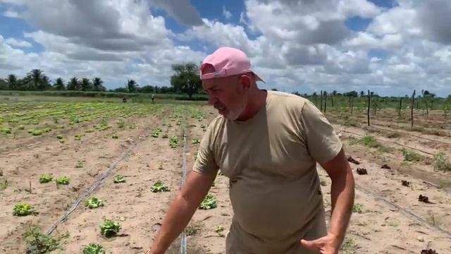 Produção de Hortaliças em solo arenoso com alta acidez смотреть онлайн