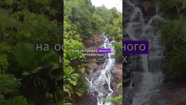 Сейшелы отдых на райских островах смотреть онлайн