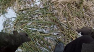 Вот это Клев! Верхняя Москва река