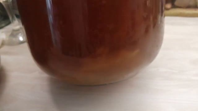 Чайный гриб из Фикспрайса, стал родителем на 6 неделю и 2 день смотреть онлайн