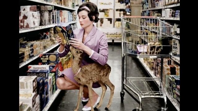 Audrey Hepburn.Одри Хепберн.Эти глаза напротив.????♊ 55.Translation in comments. смотреть онлайн