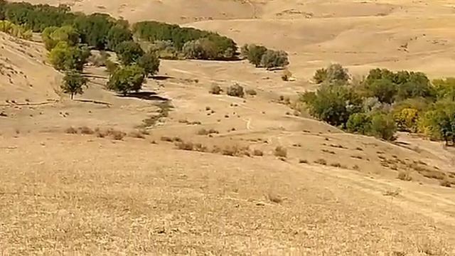 Сакские курганы смотреть онлайн