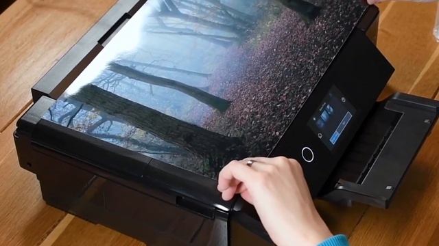 Top 5 Best All In One Photo Printer | Best All In One Printers Under $500 In 2023 смотреть онлайн