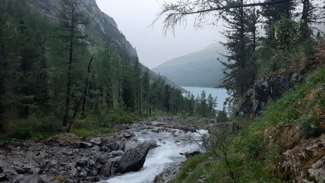 Горный Алтай. Там, где р.Шавла впадает в Нижнее Шавлинское озеро смотреть онлайн