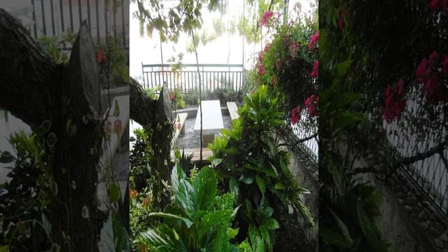 Apartments Podstrana - Podstrana - Croatia смотреть онлайн