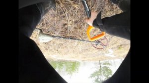 Коп с Garrett At Max Катушка NEL Tornado...Ранее открытие сезона