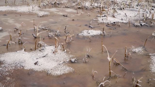Приближение зимы в Яр-Сале смотреть онлайн