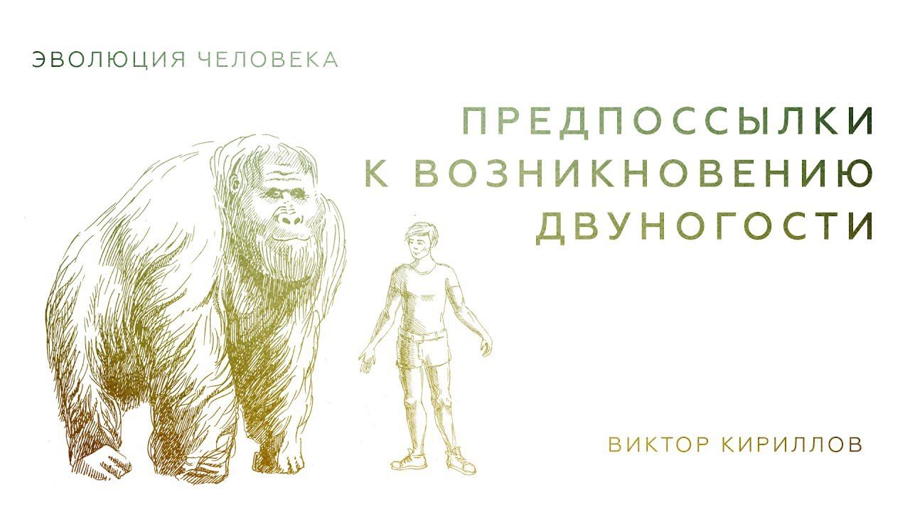 4. Предпосылки к возникновению двуногости. Происхождение человека - 10 класс смотреть онлайн