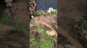 бурение скважины с самоизливом. Самоизлив скважины. Вода идет самотёком.