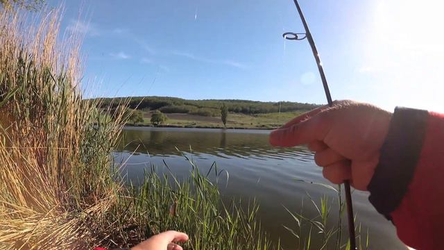 МОРМЫШИНГ ЛЕТОМ НА ОЗЕРЕ смотреть онлайн
