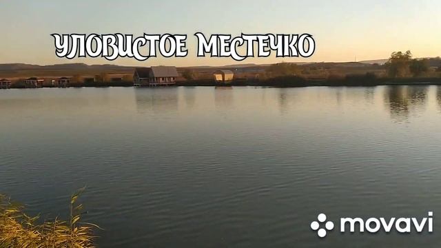 Рыбалка, Ставропольский край, КАРП, САЗАН, ловля на кукурузу, АКТИВАТОР КЛЁВА, КАЛАБОРКА смотреть онлайн