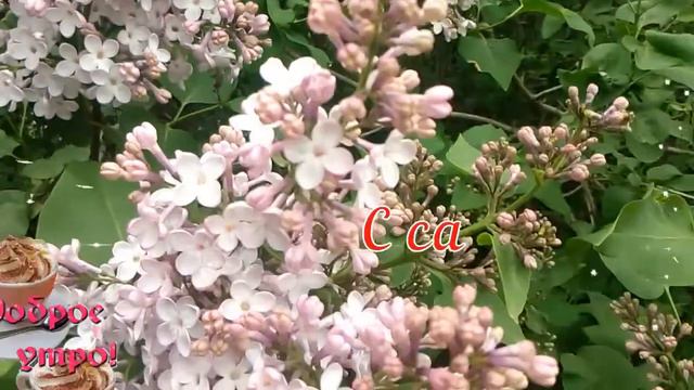 Доброе Майское Утро! 🌸 Красивая Музыкальная Открытка! 💖 смотреть онлайн