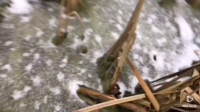 Ищу ласку ч1 смотреть онлайн