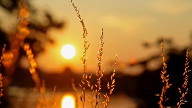 Пусть любовь будет единственным законом смотреть онлайн