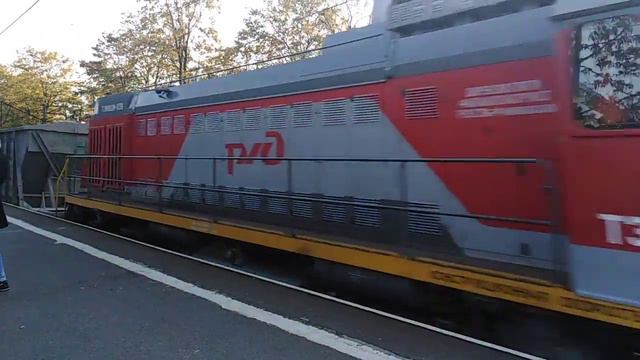 Приветливый тепловоз ТЭМ18ДМ-1139 с 4 хопперами на платформе Ручьи смотреть онлайн