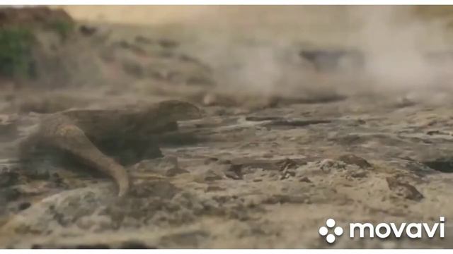 Создание мира, Ной (2014)