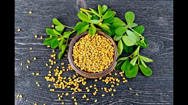 Полезные свойства пажитника