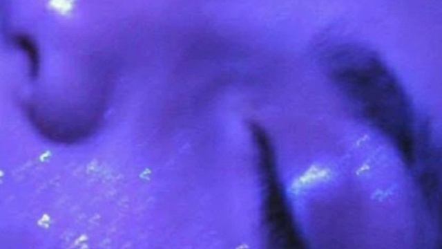 Yandel, Daddy Yankee, Feid, Mora, Quevedo - Perros Salvajes/Yandel 150 (JoyJoan Remix) | S U E Ñ O смотреть онлайн