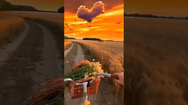 IMG_0688 смотреть онлайн