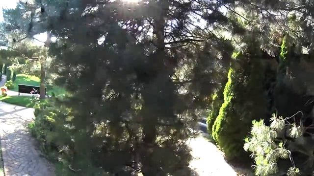 Отель Old house и башня Рапунцель смотреть онлайн