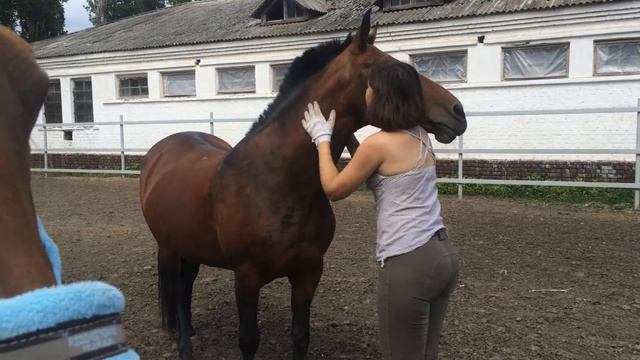 Дуууся :) смотреть онлайн