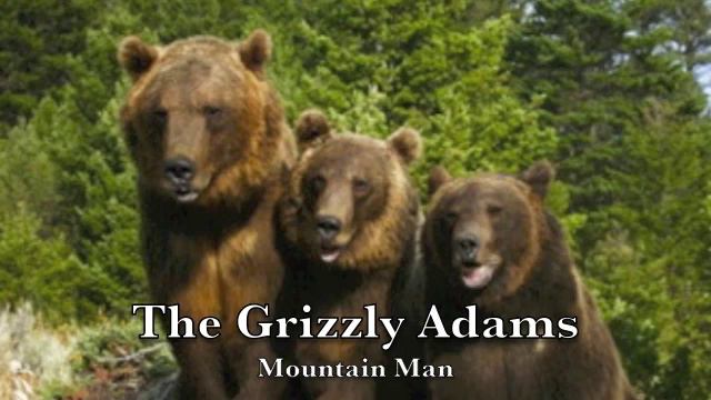 The Grizzly Adams- Mountain Man смотреть онлайн