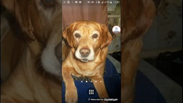 Как сделать шрифт на телефон смотреть онлайн