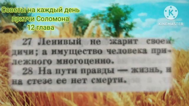 Советы на каждый день. Притчи Соломона 12 глава. смотреть онлайн
