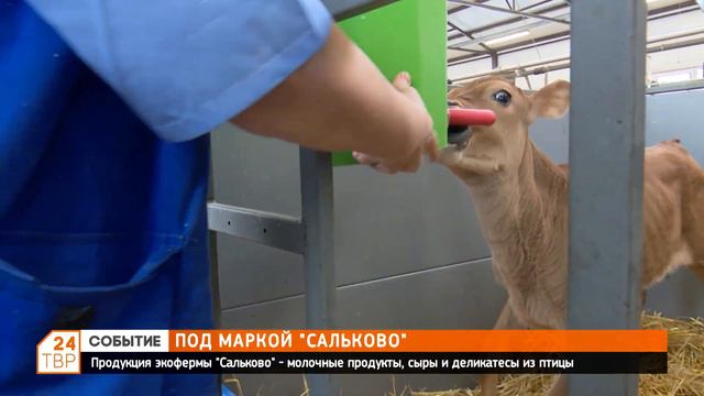 Под маркой «Сальково» смотреть онлайн