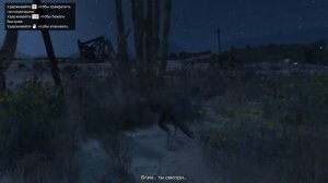 Где найти все Кактусы Пейот , Игра за Животных GTA 5