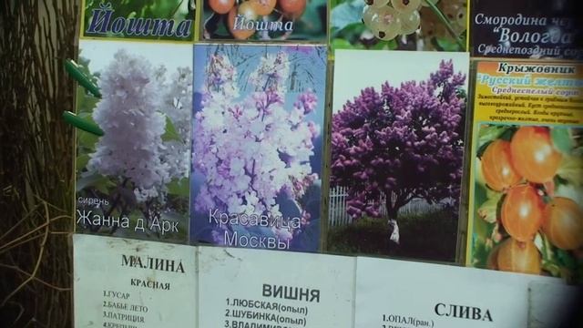 Фазенда - 2012 / Весна №60