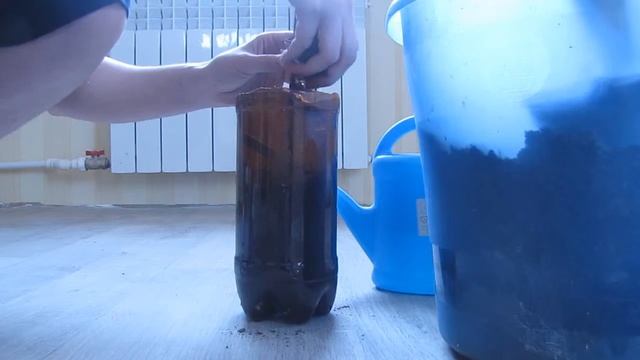 Как посадить черенок винограда смотреть онлайн