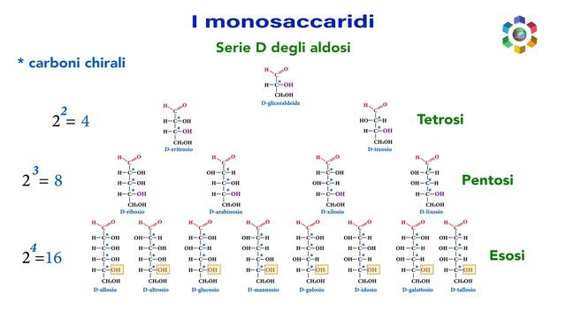 I MONOSACCARIDI: classificazione, isomeria, forme anomeriche del glucosio e fruttosio. Video in 4K смотреть онлайн