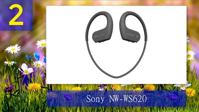Best Waterproof MP3 Players 2024 - Top 5 смотреть онлайн
