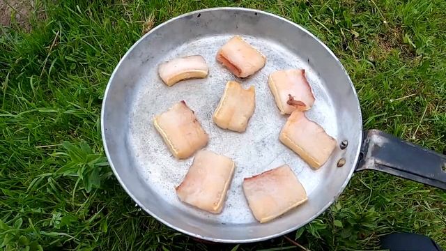 Рыбалка на сома. Отдых у речки. р. Южный Буг.