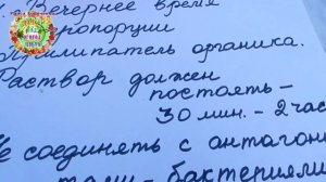 Тля на перце. Что делать? Биопрепараты против вредителей. Как правильно их использовать