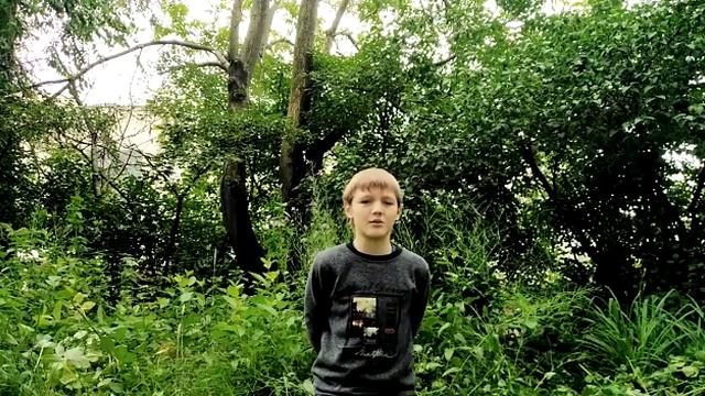 Громкое чтение стихотворения «Поэту» А.С. Пушкина смотреть онлайн