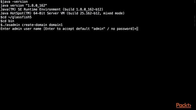 JSON with Java EE 8: Hands-on Training : Sample Project Setup | packtpub.com смотреть онлайн