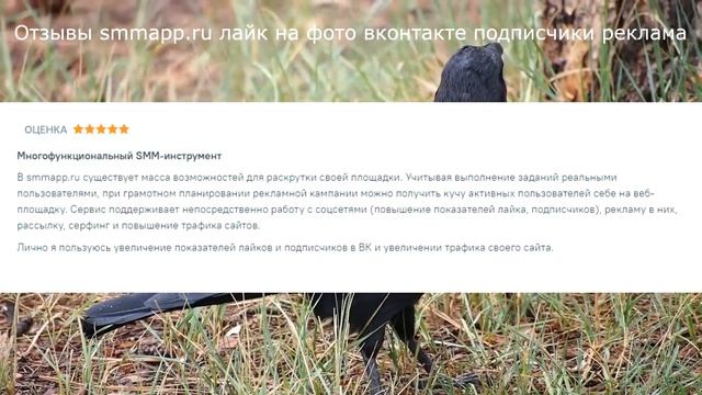 Отзывы smmapp.ru лайк на фото вконтакте подписчики реклама смотреть онлайн