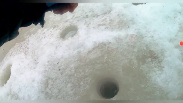 29.01.2023 РЫБАЛОЧКА ТРИАЛ РУССКАЯ РЫБАЛКА ! смотреть онлайн