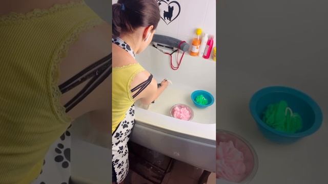 КАК ПОМЫТЬ ЩЕНКА ЙОРКА❗️ смотреть онлайн