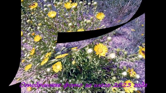 Отобранные фотографии за июль 2023 года смотреть онлайн