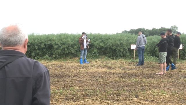 Технологии выращивания полевых культур «Технополь-Агро». День поля «ВК Технополь» смотреть онлайн