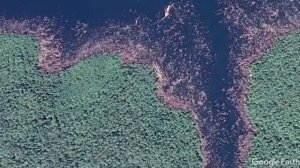 Вырубка леса в Сибири   вид из космоса