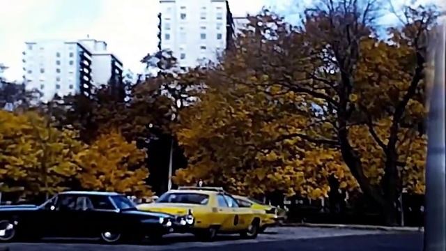 Around Toronto. High Park, Lakeshore, and? Early 70s super 8 film смотреть онлайн