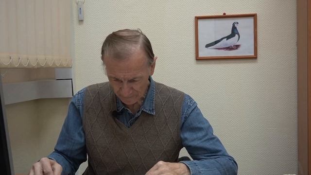 О глазе мичуринской чайки. О лечении голубей. О белых хохлатых лохмоногих чайках. Ответ зрителям. смотреть онлайн