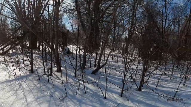 На лыжах до ещё одной Заброшки смотреть онлайн